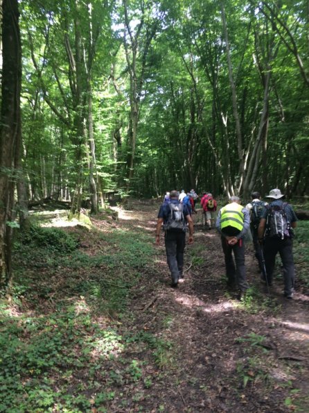 2018 06 24 Fère en Tardenois (22)